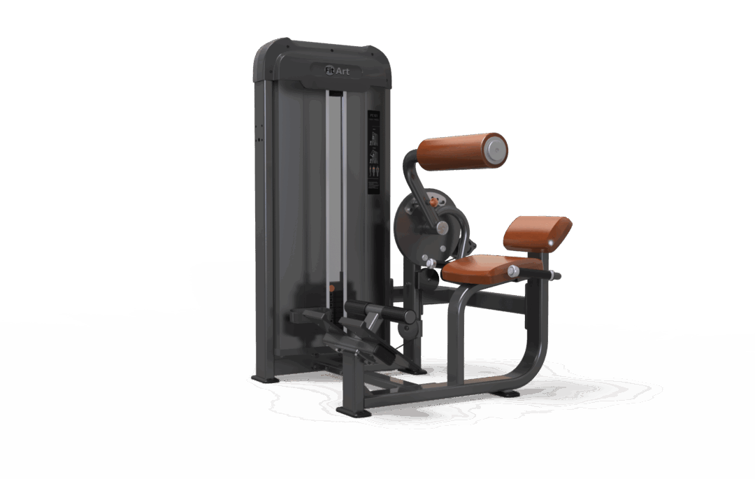 Abdominal/back trainer