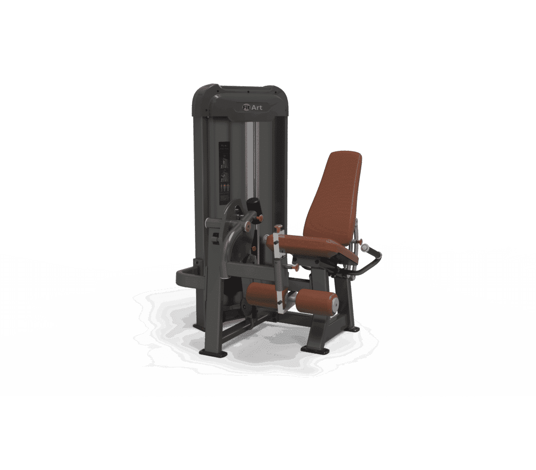 Leg Extension